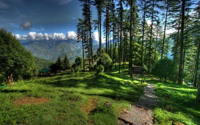 Dhanaulti photo 1