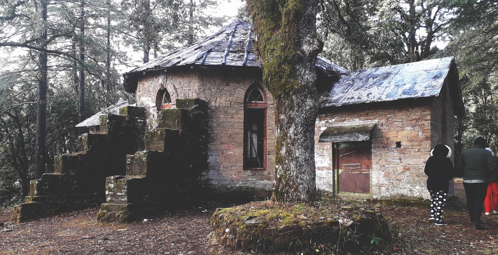 Abbott Mount photo 1